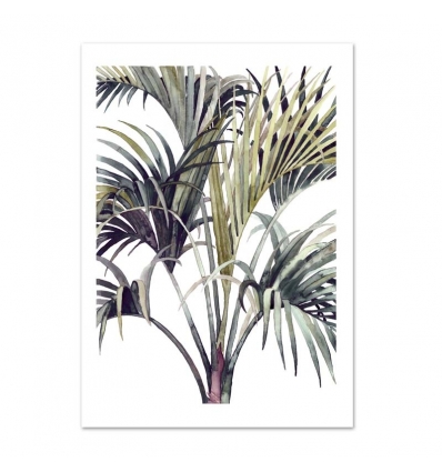 LEO LA DOUCE Kunstdruck A4 Wild Palm