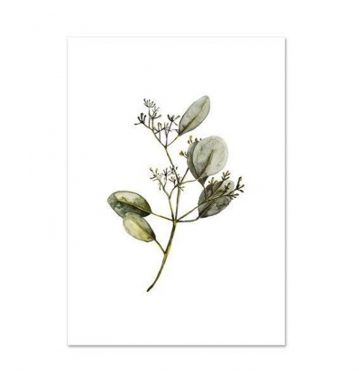 LEO LA DOUCE Kunstdruck A4 Eucalyptus with blossoms