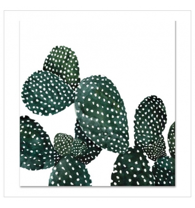 LEO LA DOUCE Kunstdruck A4 Cactus Family