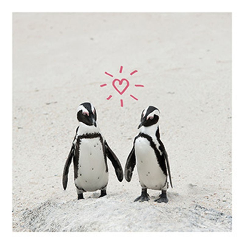 Hey!Cards KK Pinguine mit Herz
